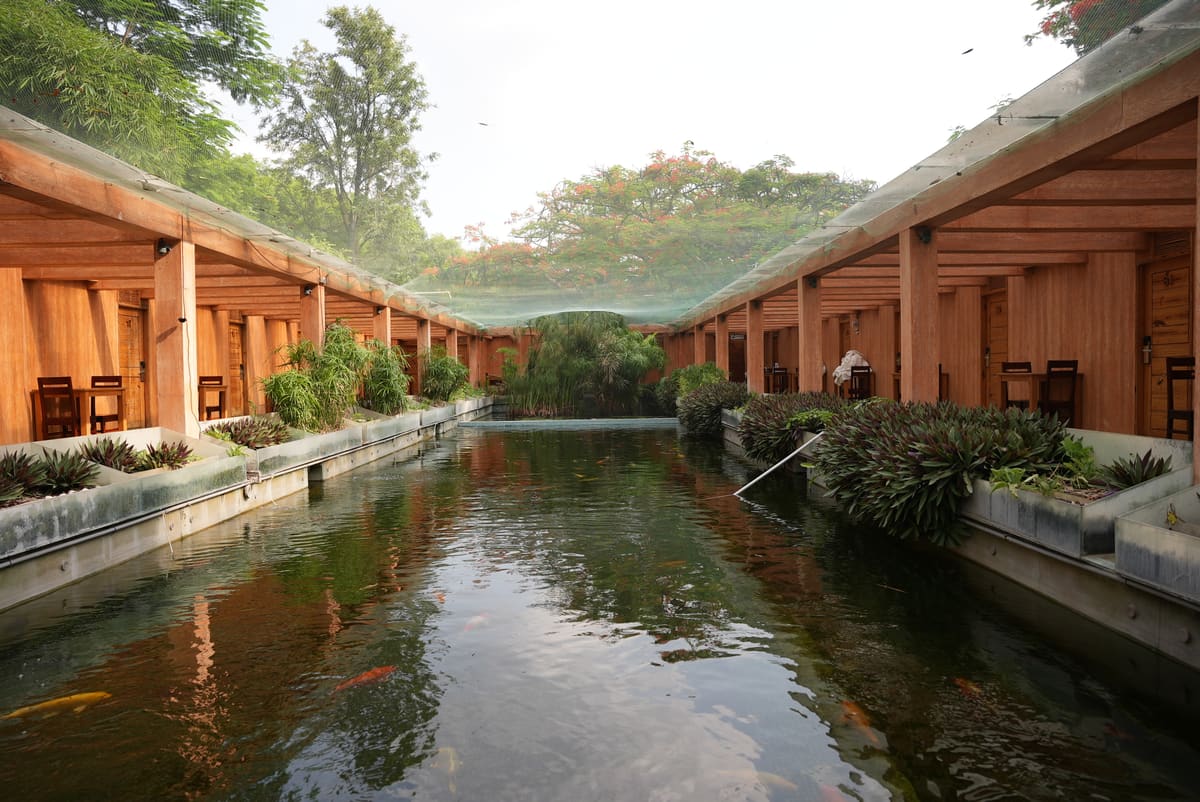 The koi pond walkway beside the Aqua Rooms at golden hour